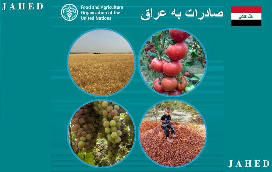 صادرات به کشور عراق از ایران